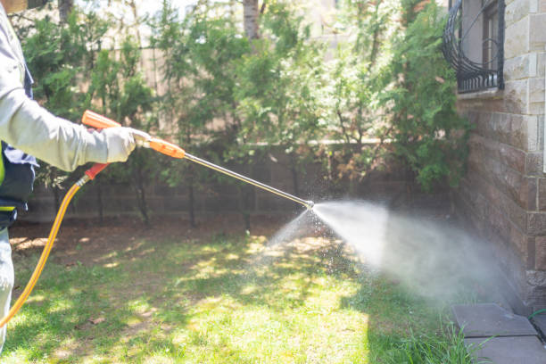 Best Commercial Pest Control Services  in Hlsboro, IL