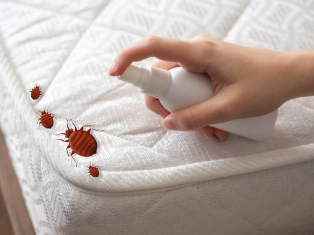 Best Pest Prevention Services  in Hlsboro, IL