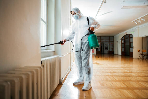 Best Emergency Pest Control  in Hlsboro, IL